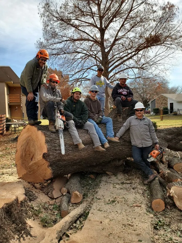 Crew with chainsaws taking a break