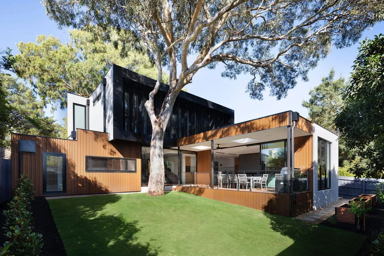 Is my big tree posing a safety hazard? Here are common warning signs
