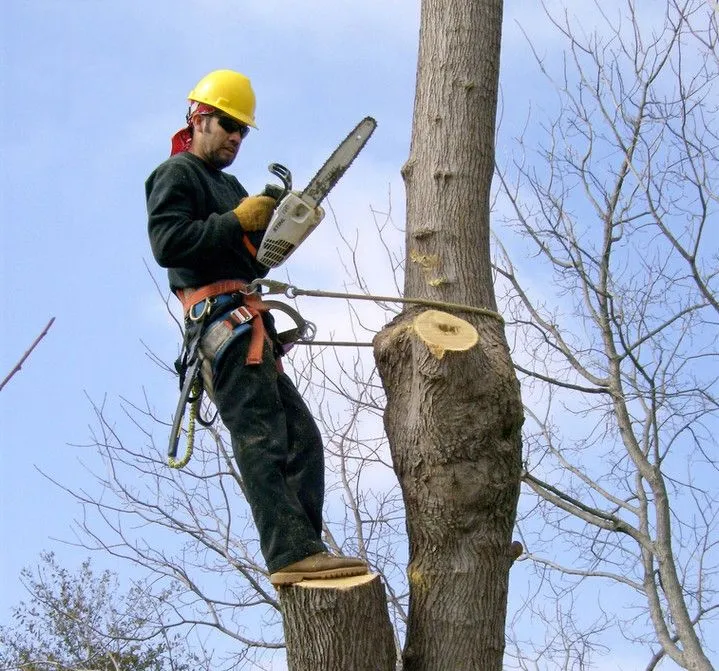 Worker with a chainsaw