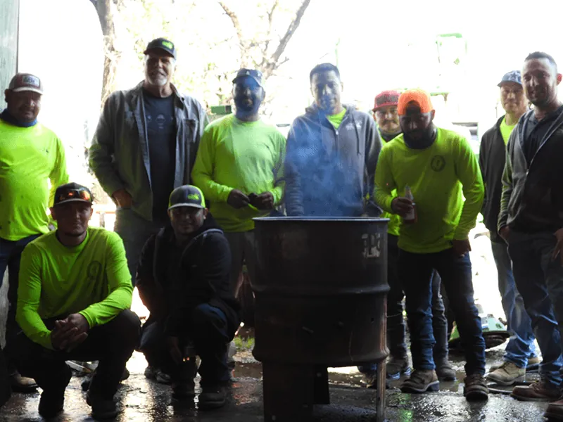 Tree service in Bedford, TX