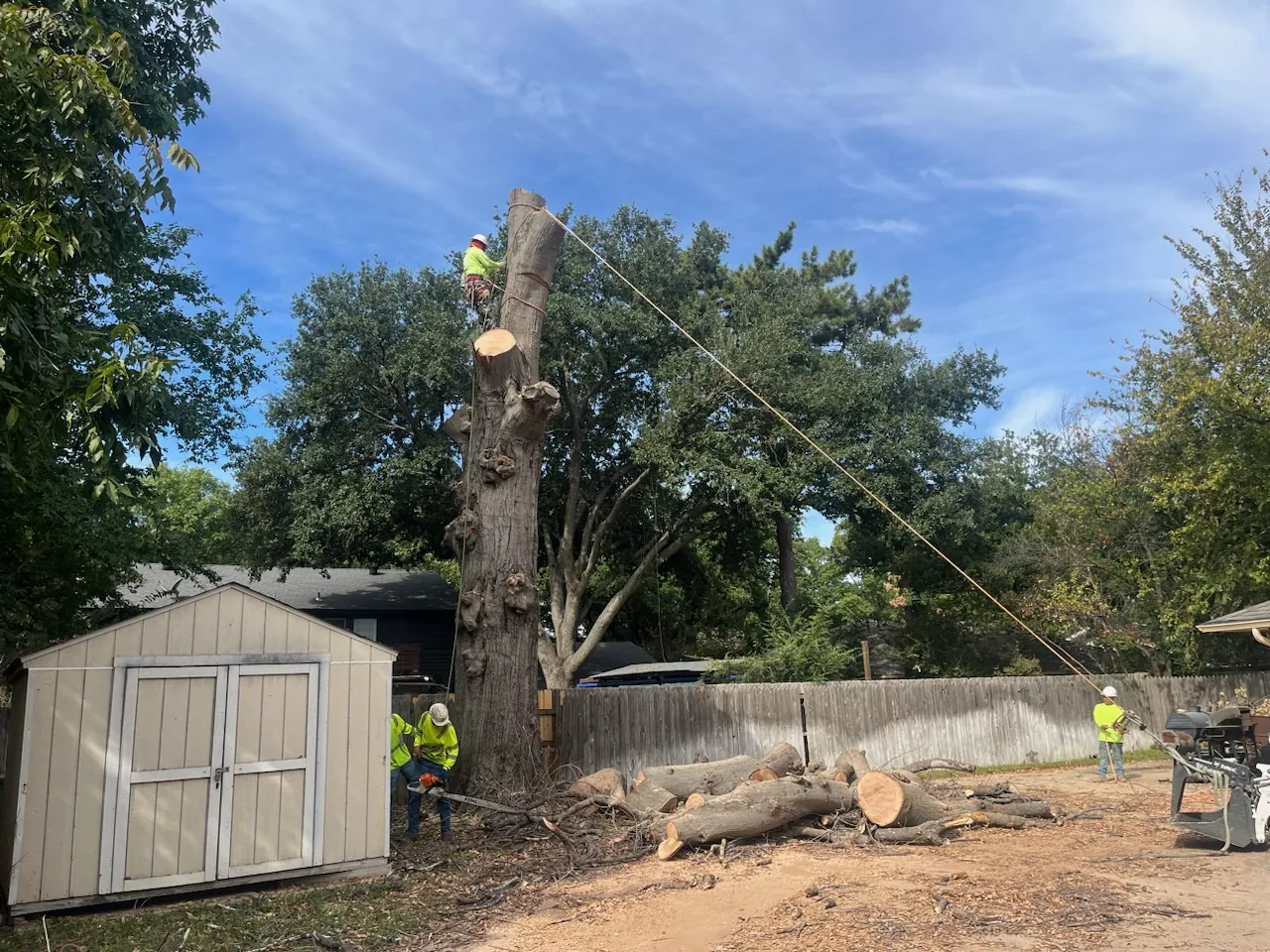 Residential tree removal